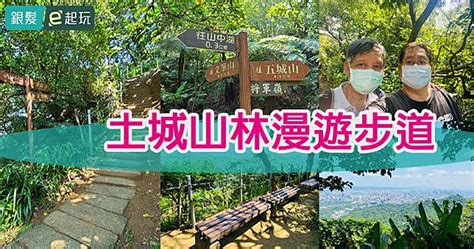 文筆山|土城文筆山步道：林木蒼鬱城市親山近郊，登高無遠弗屆俯瞰觀音。